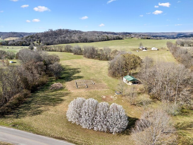 4518 Dry Fork Rd, Hampshire, TN 38461 - photo 9