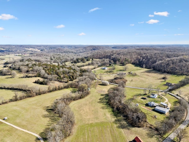 4518 Dry Fork Rd, Hampshire, TN 38461 - photo 3