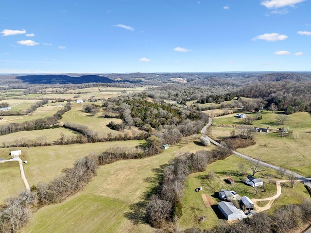 4518 Dry Fork Rd, Hampshire, TN 38461 - photo 4