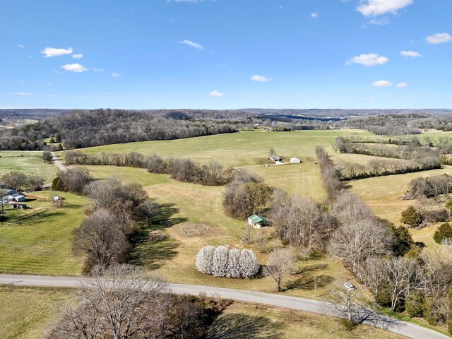 4518 Dry Fork Rd, Hampshire, TN 38461 - photo 7