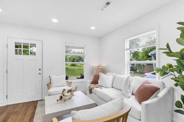 1104 Howell St, Hopkinsville, KY 42240 - living area featuring plenty of natural light, wood finished floors, and recessed lighting