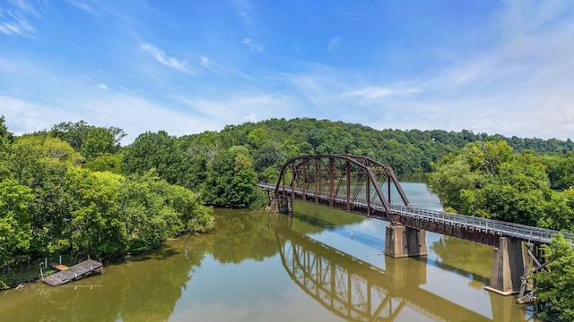 1353 Chapmansboro Rd, Chapmansboro, TN 37035 - dock with a wooded view and a water view