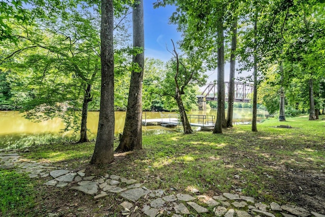 1353 Chapmansboro Rd, Chapmansboro, TN 37035 - view of yard