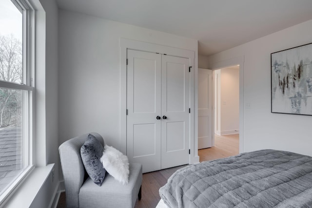 2032 Pleasant Cv, Nashville, TN 37214 - bedroom with light wood-style flooring, multiple windows, and a closet
