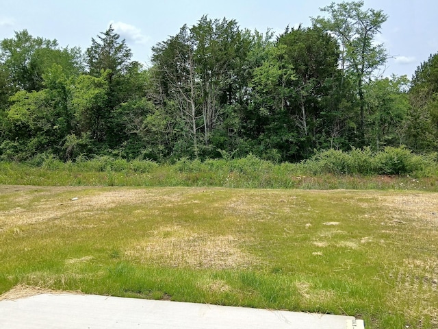 2113 Red Barn Rd, Christiana, TN 37037 - photo 7