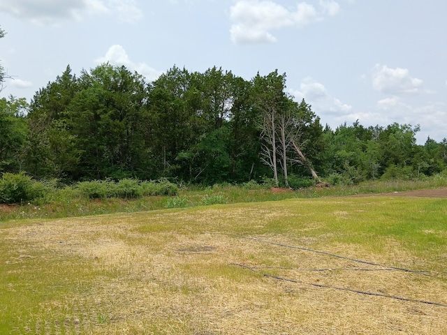 2113 Red Barn Rd, Christiana, TN 37037 - photo 8