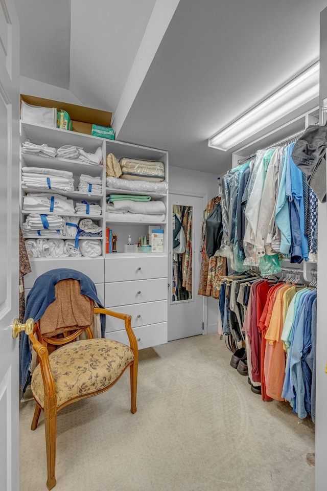 1552 Charleston Blvd, Murfreesboro, TN 37130 - walk in closet featuring carpet flooring