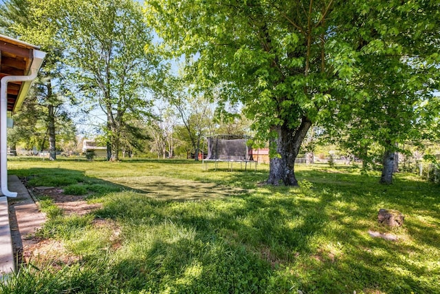 4706 Barfield Crescent Rd, Murfreesboro, TN 37128 - view of green lawn featuring a trampoline