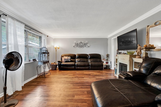 4028 Tomahawk Cir NW, Cleveland, TN 37312 - living area with ornamental molding, a textured ceiling, wood finished floors, and a glass covered fireplace