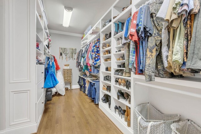 3630 Bear Creek Ln, Thompsons Station, TN 37179 - spacious closet featuring light wood-style flooring
