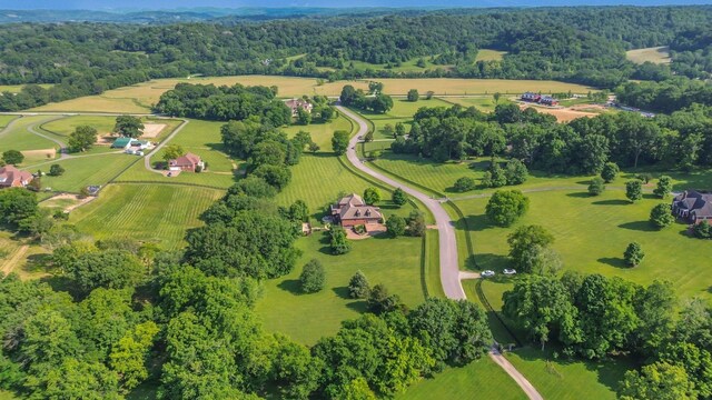 3630 Bear Creek Ln, Thompsons Station, TN 37179 - overview of rural landscape with a forest