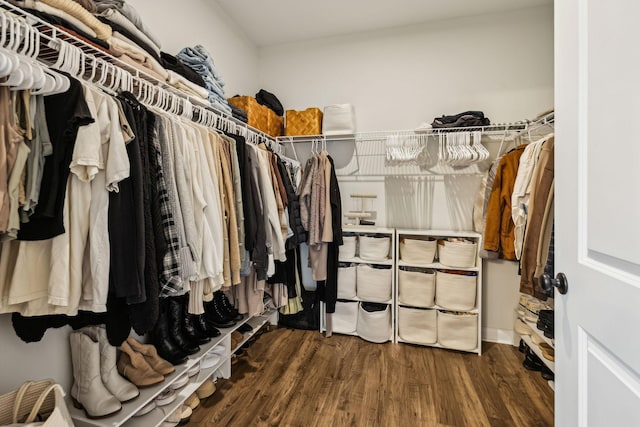 1705 Merkel Rd, Columbia, TN 38401 - spacious closet with wood finished floors