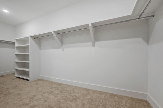 7209 Richvale Dr, Fairview, TN 37062 - walk in closet featuring carpet floors