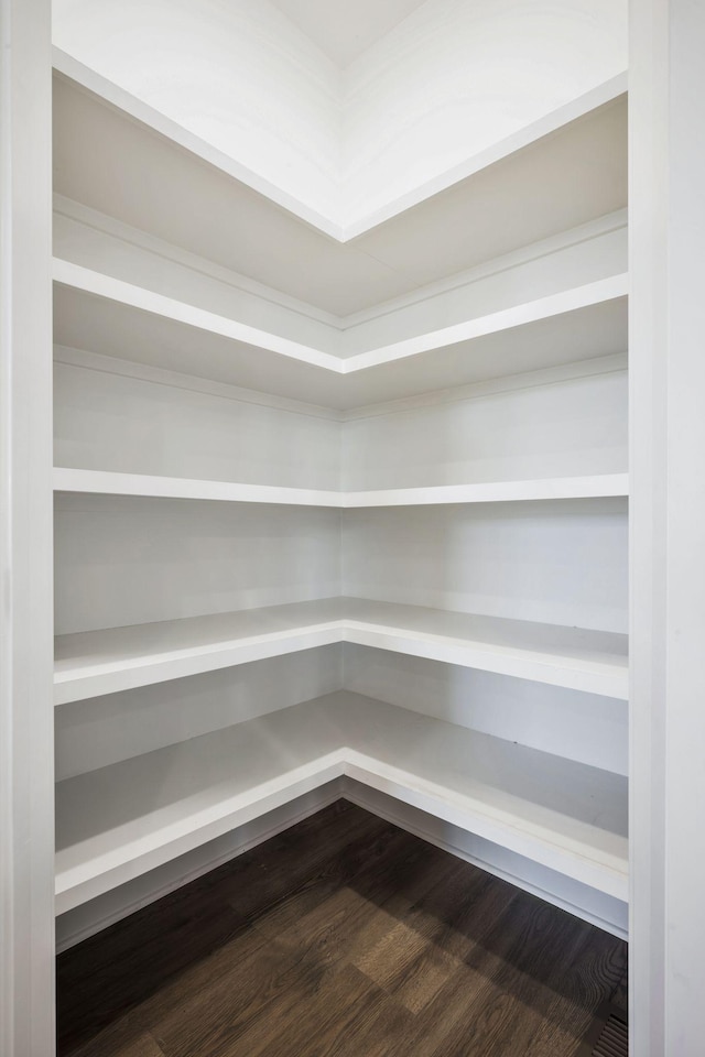 7209 Richvale Dr, Fairview, TN 37062 - view of pantry
