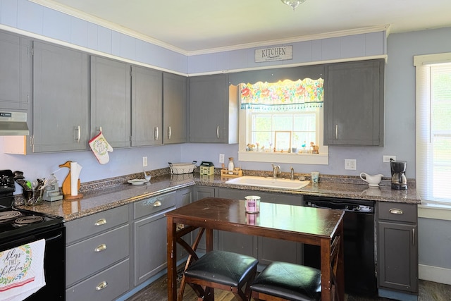 3281 Pulaski Hwy, Lawrenceburg, TN 38464 - kitchen featuring black appliances, a sink, under cabinet range hood, gray cabinetry, and healthy amount of natural light