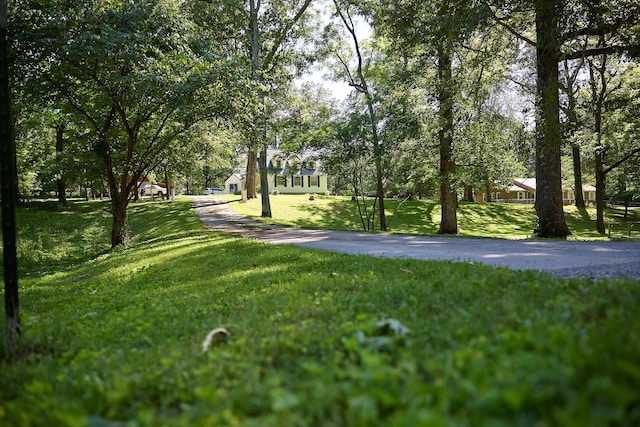 3281 Pulaski Hwy, Lawrenceburg, TN 38464 - surrounding community with a yard