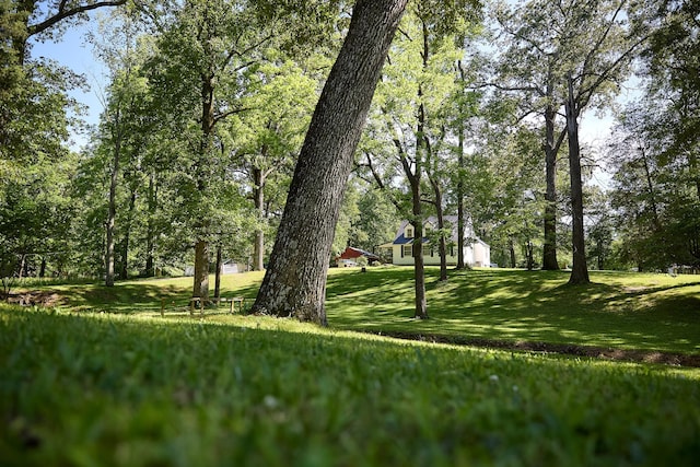 3281 Pulaski Hwy, Lawrenceburg, TN 38464 - view of grassy yard