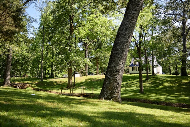 3281 Pulaski Hwy, Lawrenceburg, TN 38464 - view of grassy yard with a garage