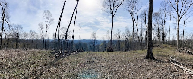 2001 Scotty Parker Rd, Gallatin, TN 37066 - view of local wilderness