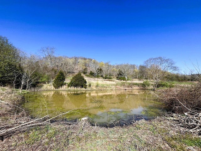 2001 Scotty Parker Rd, Gallatin, TN 37066 - water view