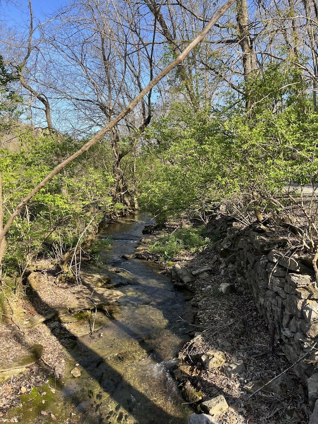 2001 Scotty Parker Rd, Gallatin, TN 37066 - view of nature