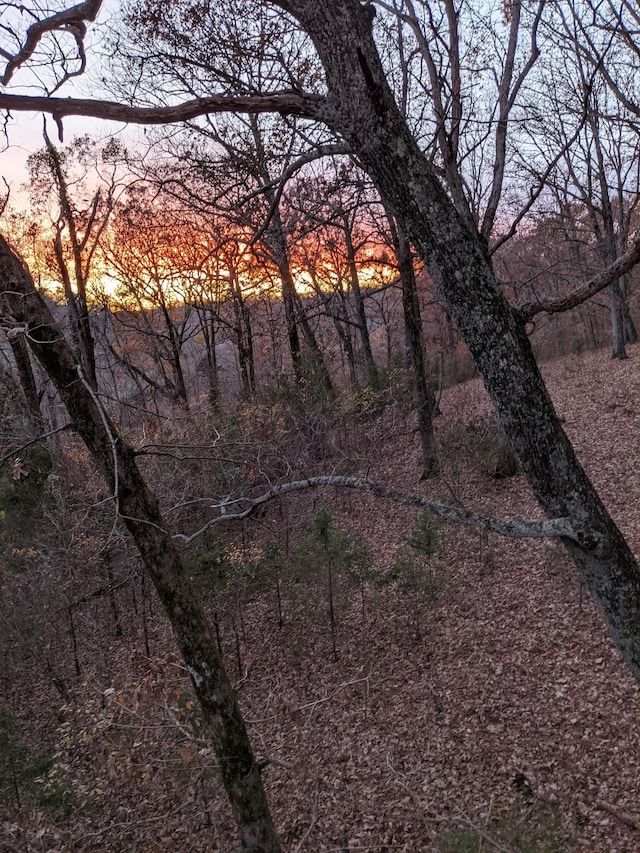 2001 Scotty Parker Rd, Gallatin, TN 37066 - view of local wilderness