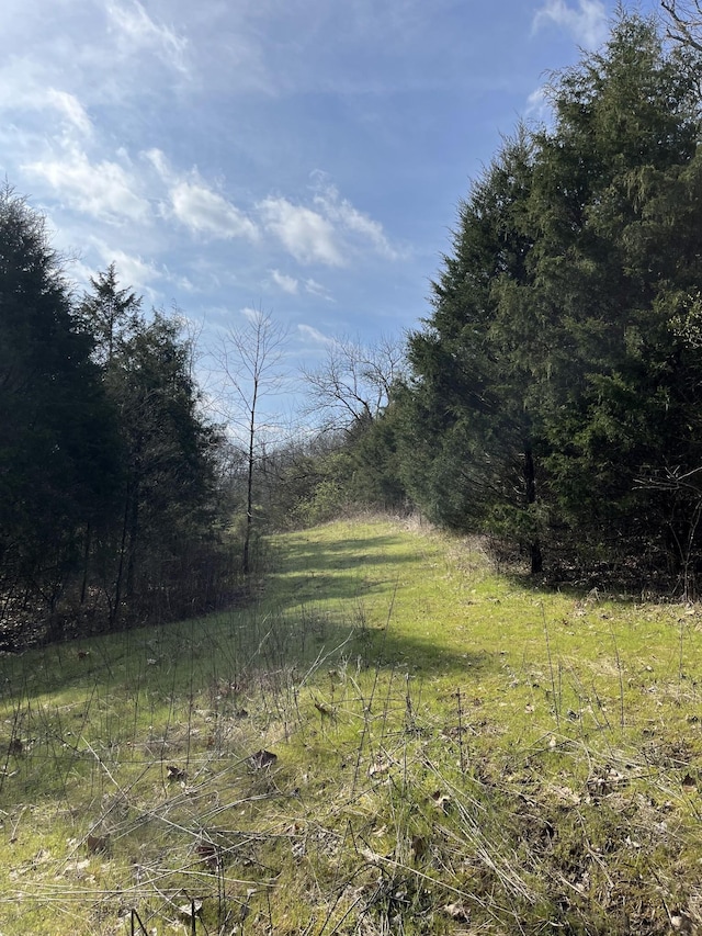 2001 Scotty Parker Rd, Gallatin, TN 37066 - view of local wilderness