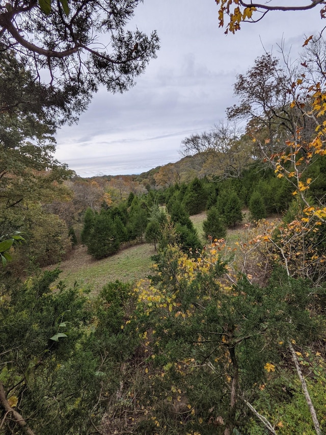 2001 Scotty Parker Rd, Gallatin, TN 37066 - mountain view with a forest