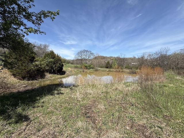 2001 Scotty Parker Rd, Gallatin, TN 37066 - water view