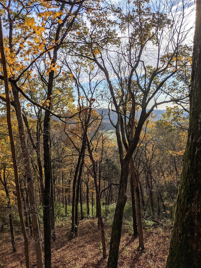 2001 Scotty Parker Rd, Gallatin, TN 37066 - view of tree filled area