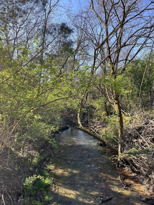 2001 Scotty Parker Rd, Gallatin, TN 37066 - view of road