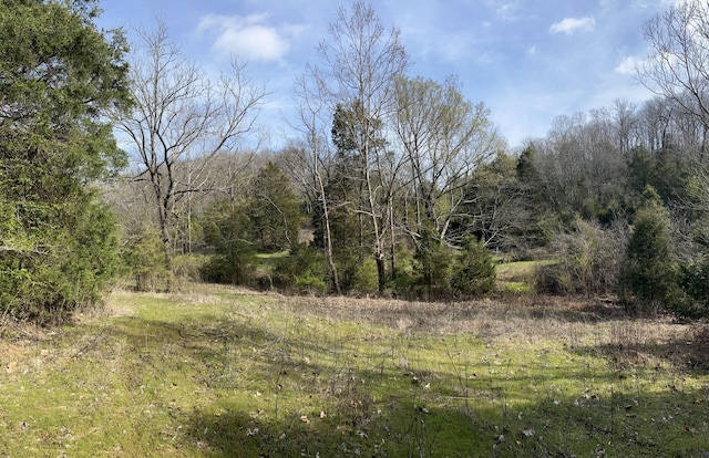 2001 Scotty Parker Rd, Gallatin, TN 37066 - view of tree filled area