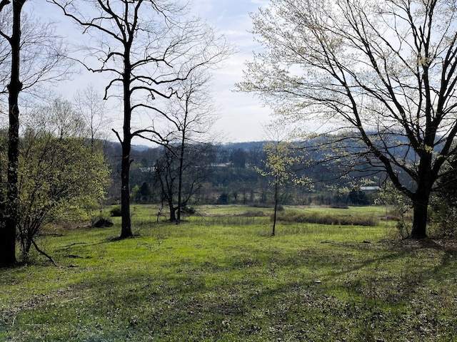2001 Scotty Parker Rd, Gallatin, TN 37066 - view of mountain background