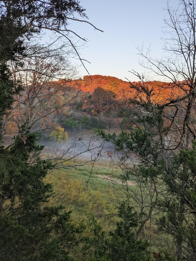 2001 Scotty Parker Rd, Gallatin, TN 37066 - view of mountain background