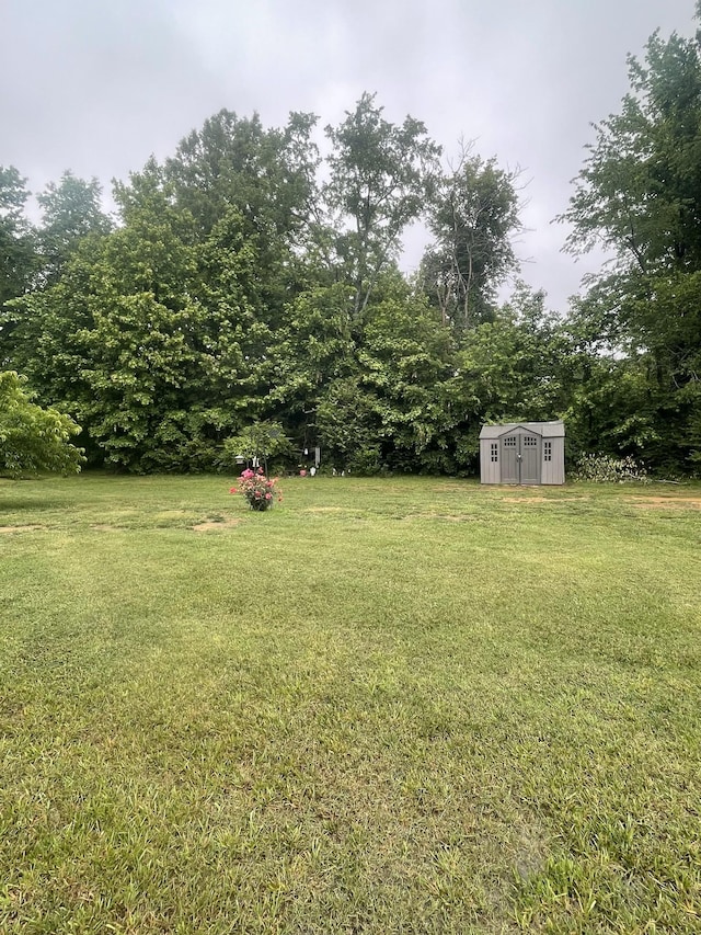 380 Preakness Cir, Pleasant View, TN 37146 - view of grassy yard