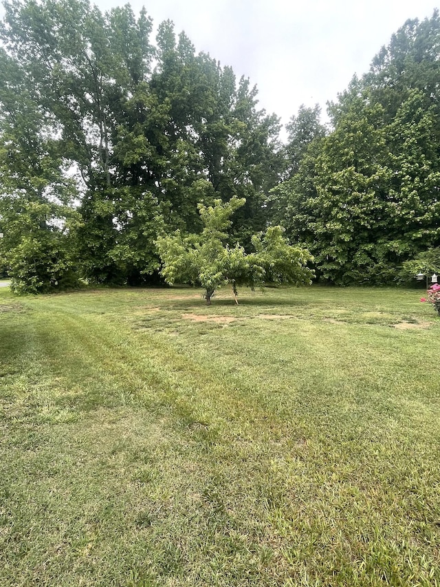 380 Preakness Cir, Pleasant View, TN 37146 - view of grassy yard