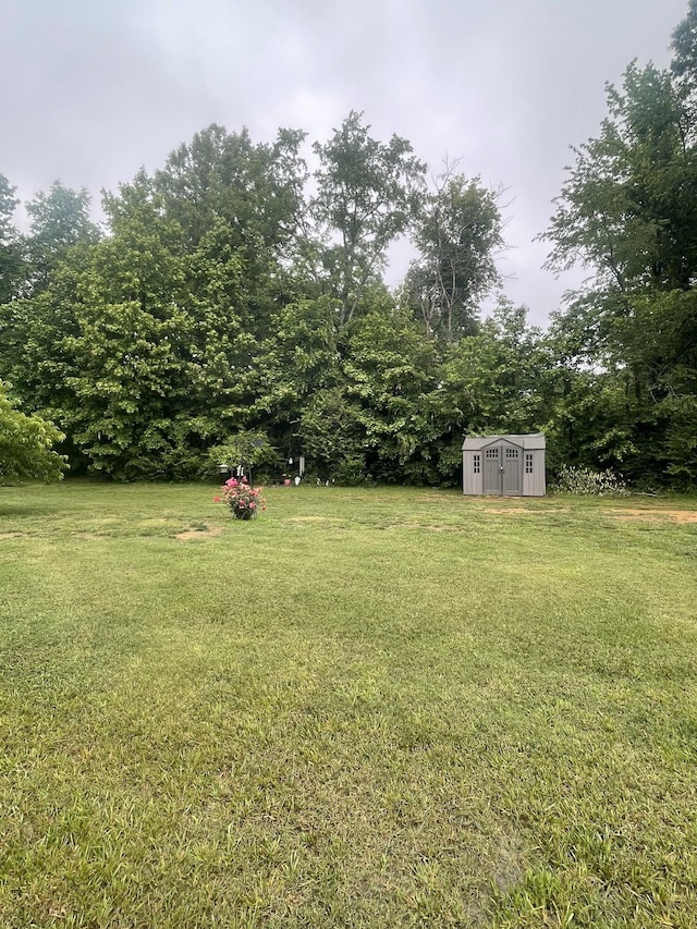 380 Preakness Cir, Pleasant View, TN 37146 - view of green lawn