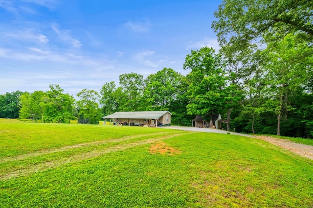 2751 Jarrell Ridge Rd, Clarksville, TN 37043 - view of grassy yard featuring driveway and a carport