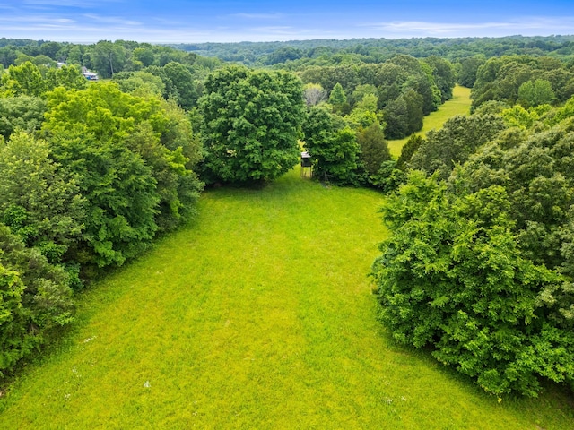 2751 Jarrell Ridge Rd, Clarksville, TN 37043 - drone / aerial view