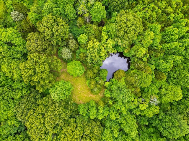 2751 Jarrell Ridge Rd, Clarksville, TN 37043 - view of property location