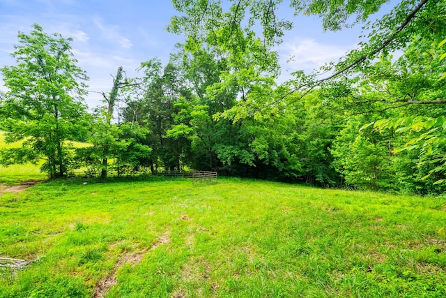 2751 Jarrell Ridge Rd, Clarksville, TN 37043 - view of yard