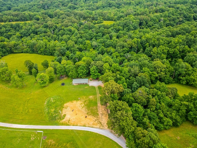 2751 Jarrell Ridge Rd, Clarksville, TN 37043 - aerial view of a heavily wooded area