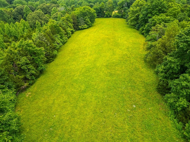 2751 Jarrell Ridge Rd, Clarksville, TN 37043 - bird's eye view