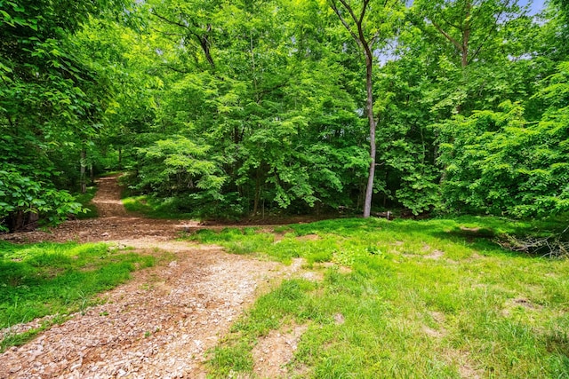 2751 Jarrell Ridge Rd, Clarksville, TN 37043 - view of yard featuring a view of trees