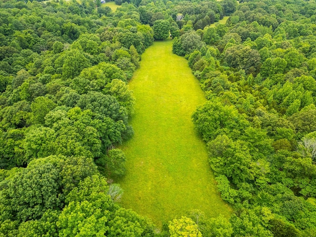 2751 Jarrell Ridge Rd, Clarksville, TN 37043 - bird's eye view of a heavily wooded area