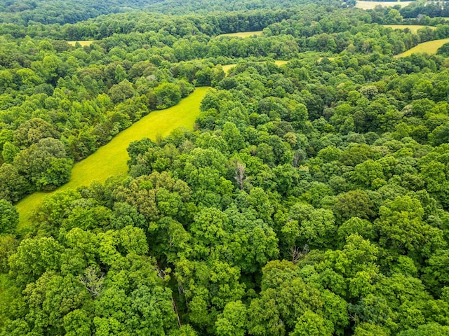 2751 Jarrell Ridge Rd, Clarksville, TN 37043 - drone / aerial view of a forest