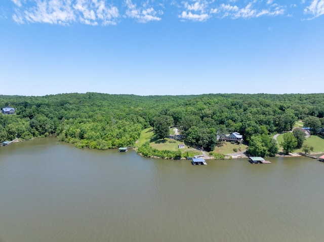 440 Bluff Point Ln, Waverly, TN 37185 - bird's eye view of a forest and a nearby body of water