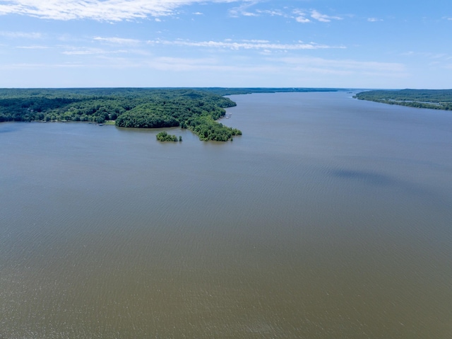 440 Bluff Point Ln, Waverly, TN 37185 - water view