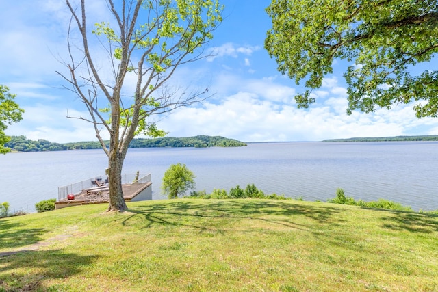 440 Bluff Point Ln, Waverly, TN 37185 - water view with a boat dock