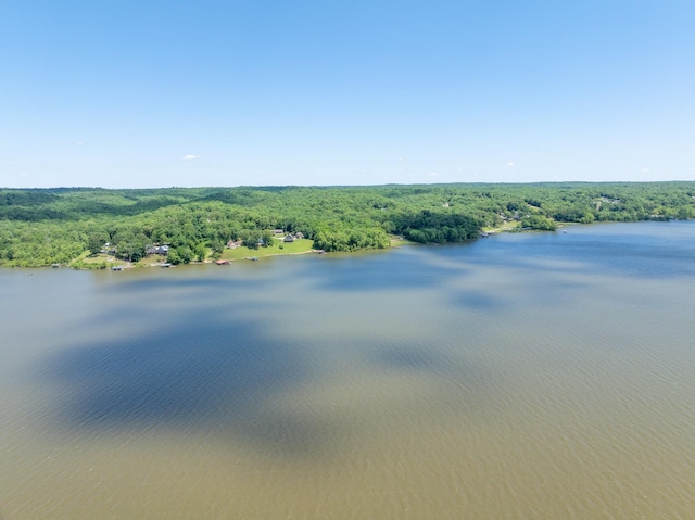 440 Bluff Point Ln, Waverly, TN 37185 - water view with a heavily wooded area